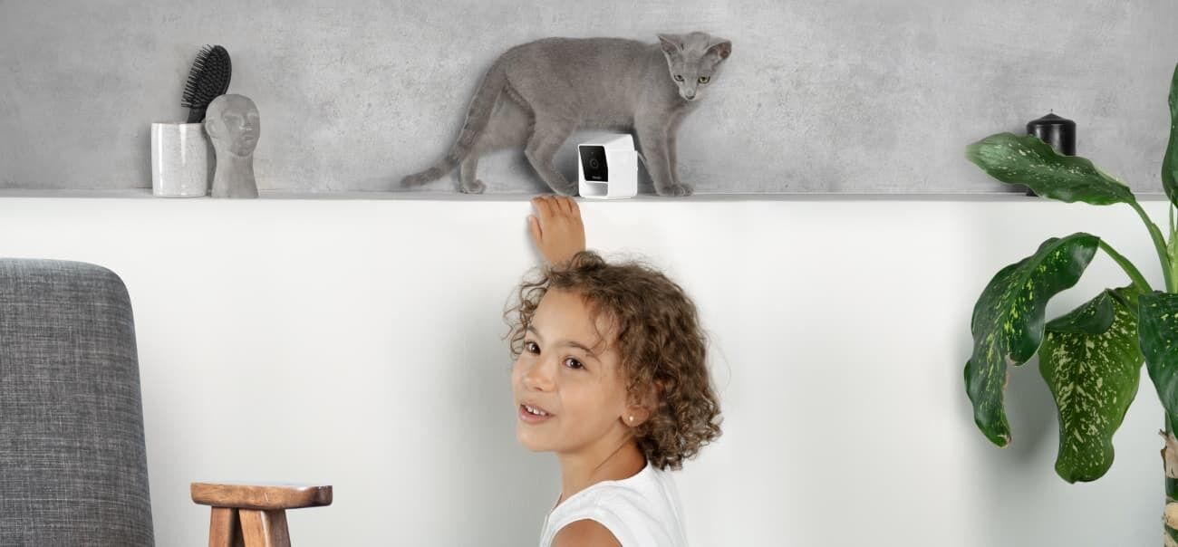 3. Petcube Cat Monitoring Camera